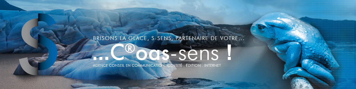 S-Sens, Communication, édition, Internet