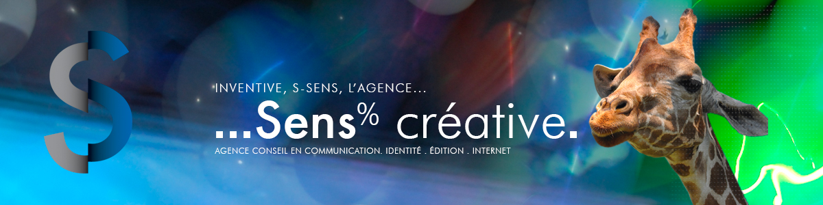 S-Sens, Communication, édition, Internet