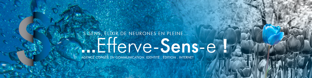 S-Sens, Communication, édition, Internet
